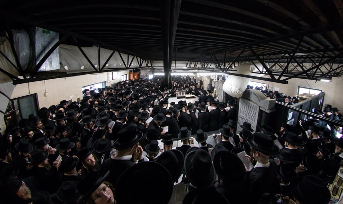 הילולת ה'דברי יואל' זצ"ל בסאטמר • גלריה