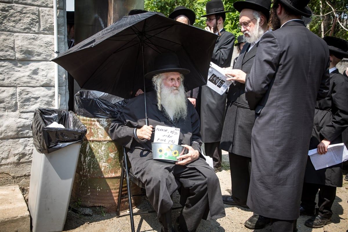 הילולת ה'דברי יואל' זצ"ל בסאטמר • גלריה