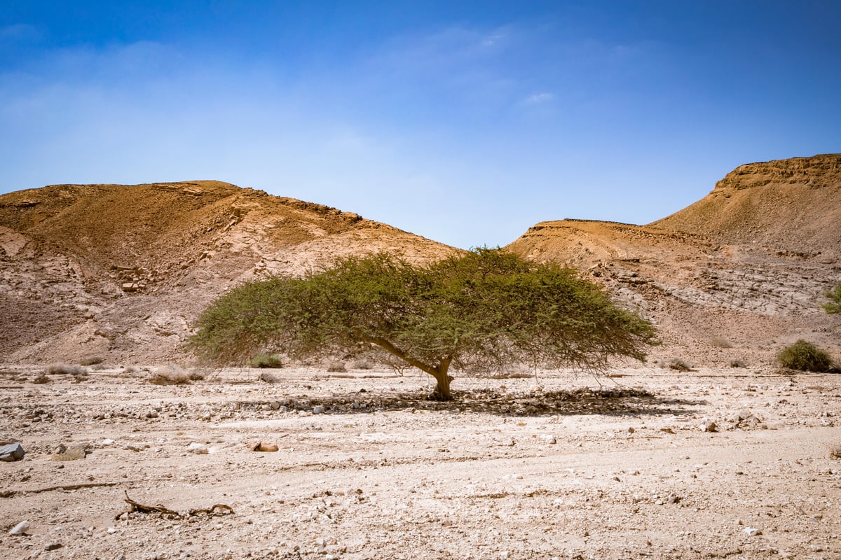 טיול מצולם לנוף המרהיב של מכתש רמון