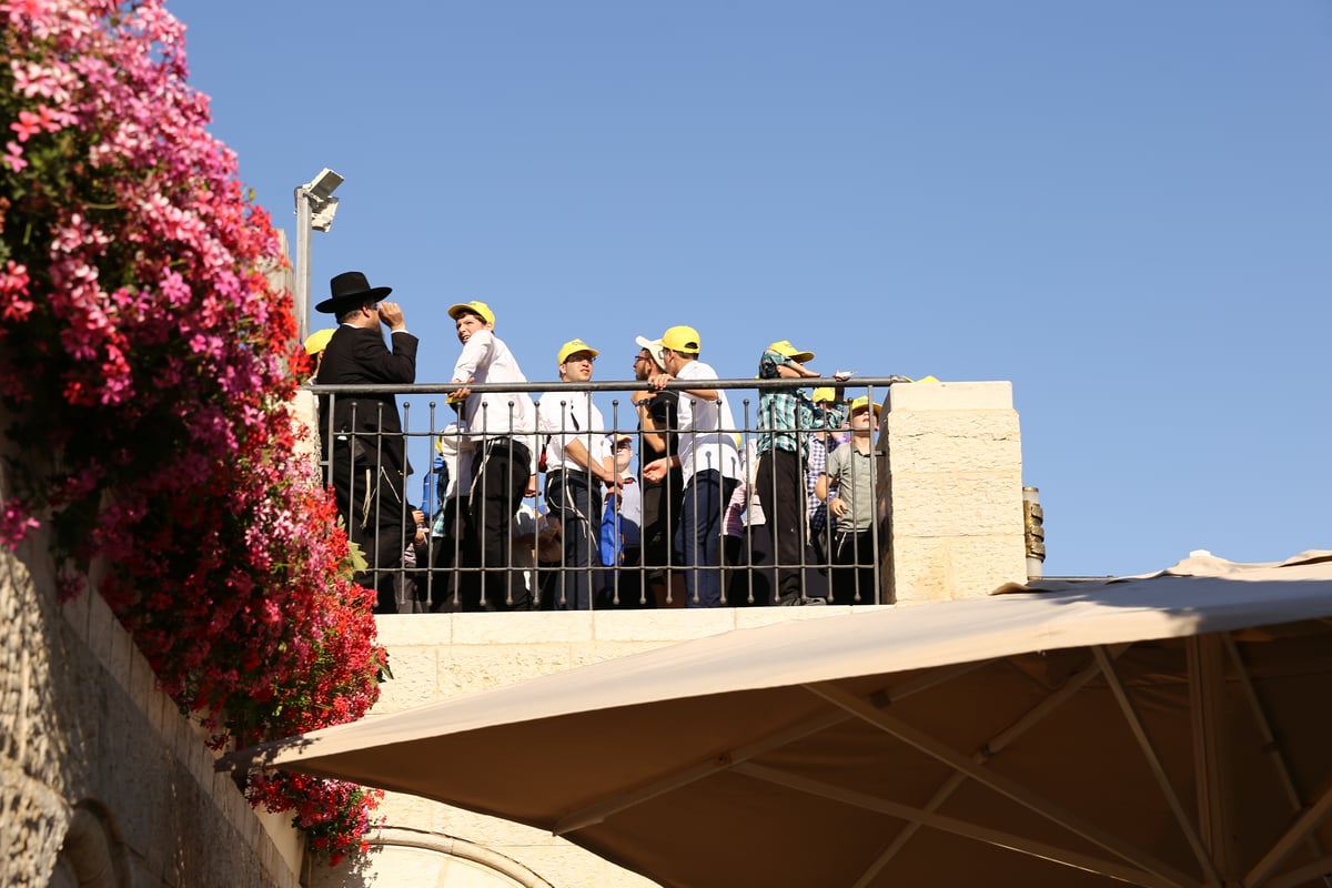 צפו בתמונות: פרוייקט הענק "בשבילי ירושלים 2"