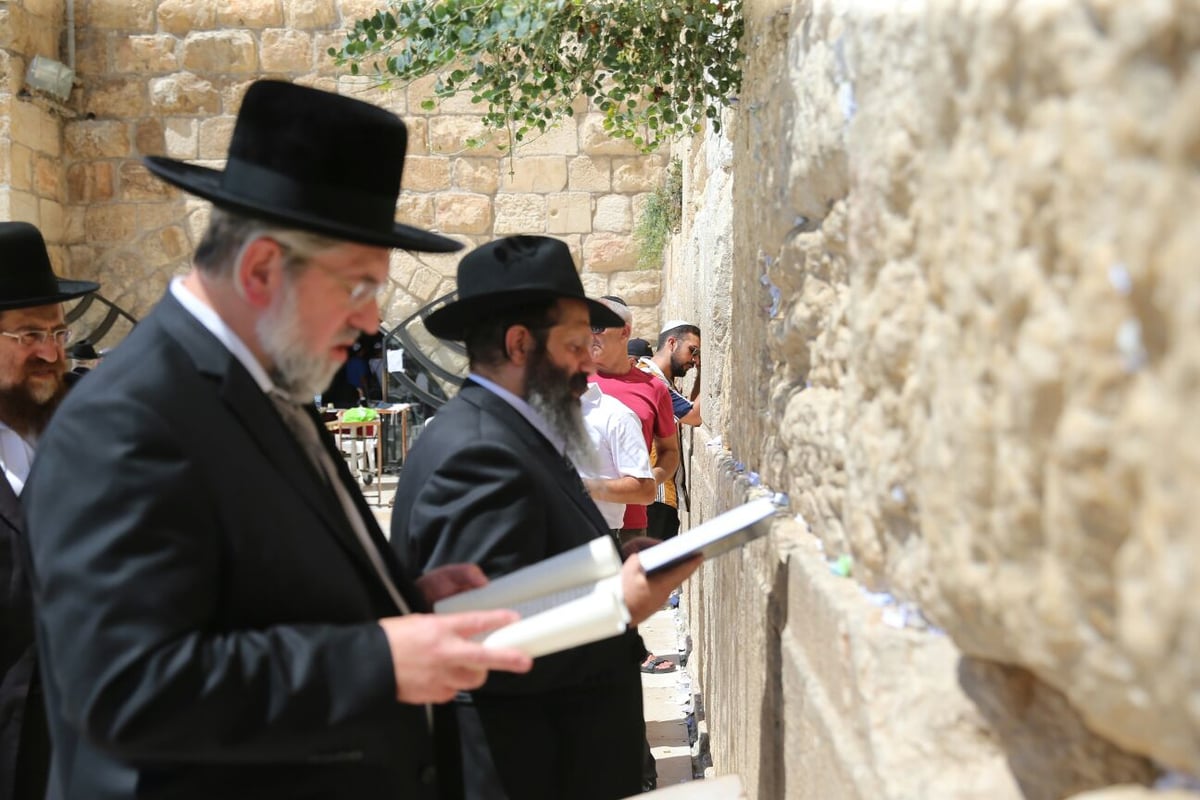 כששלום רובשקין בא לכותל המערבי • צפו