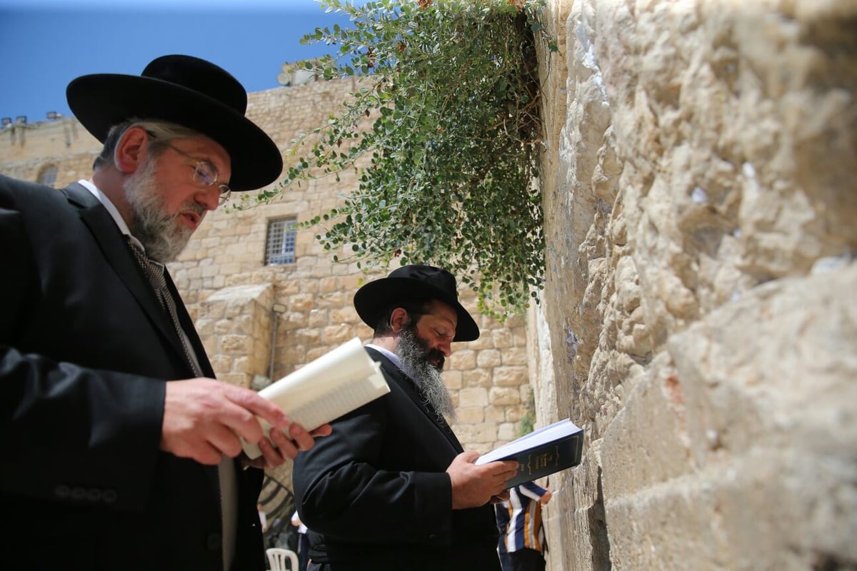 כששלום רובשקין בא לכותל המערבי • צפו