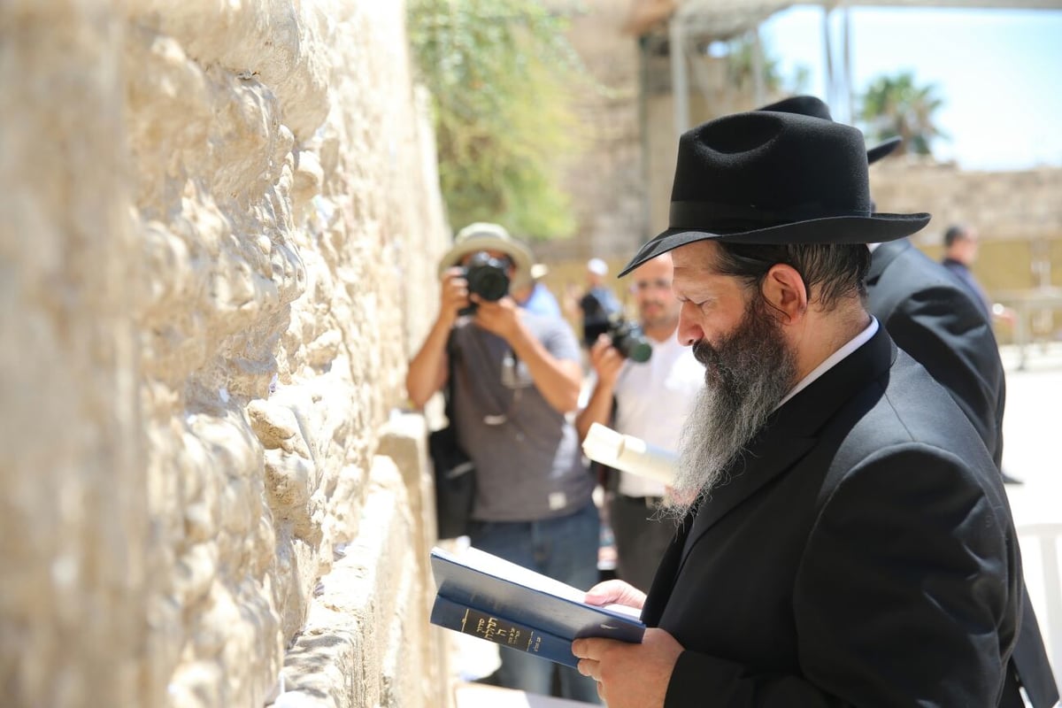 כששלום רובשקין בא לכותל המערבי • צפו