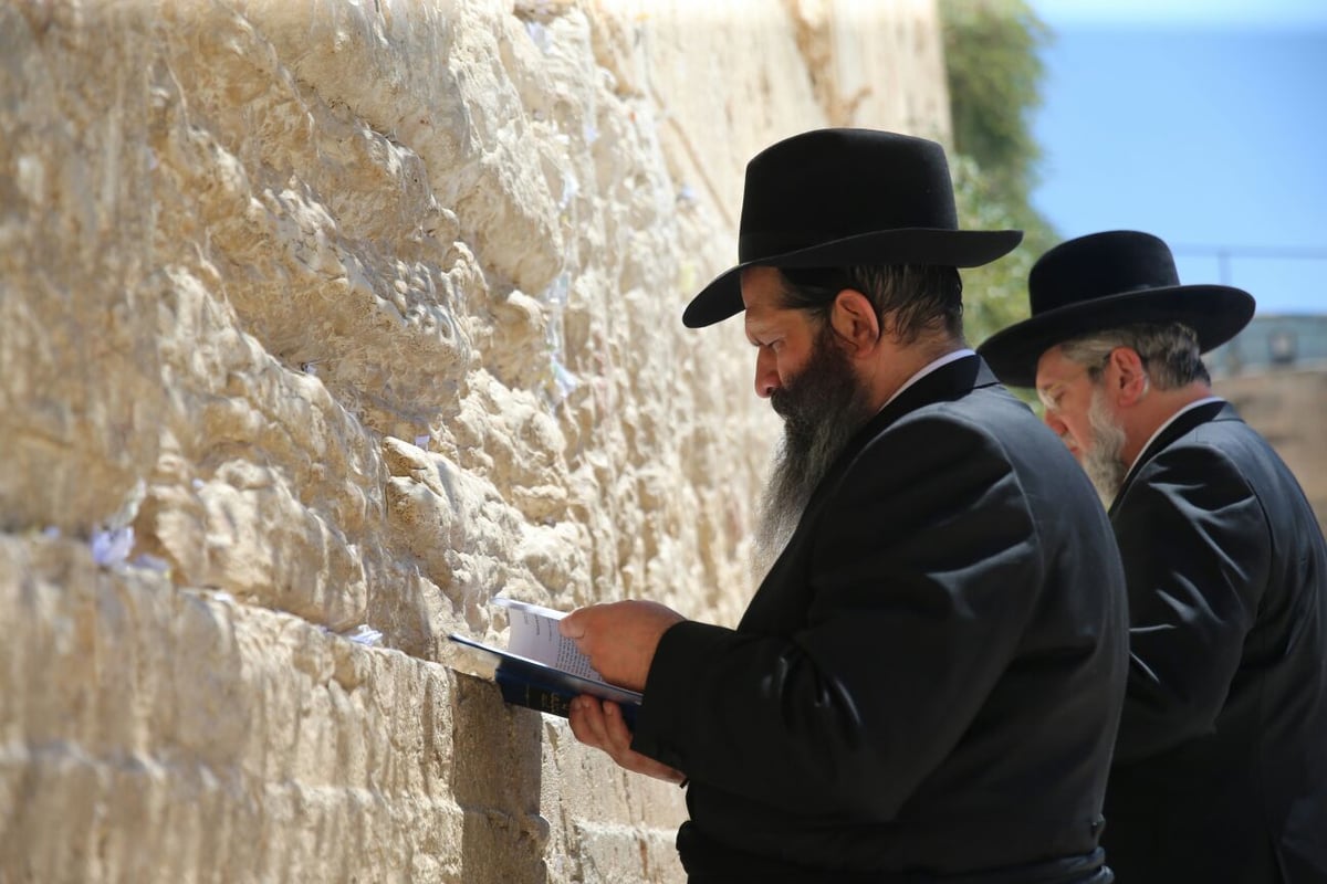 כששלום רובשקין בא לכותל המערבי • צפו