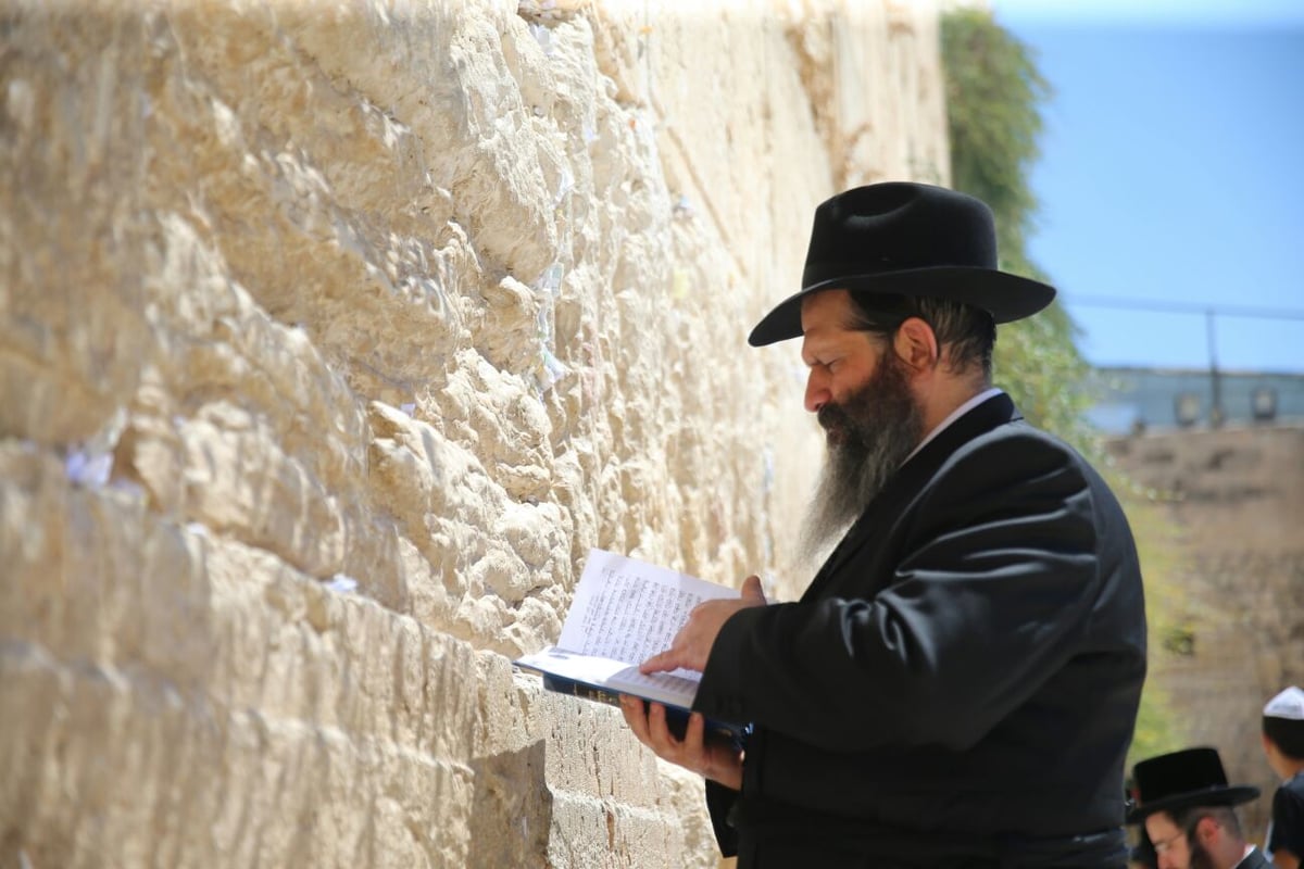 כששלום רובשקין בא לכותל המערבי • צפו