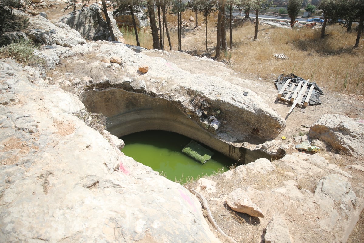 המקווה שהנערים ארגנו לעצמם ליד ה'רכס'