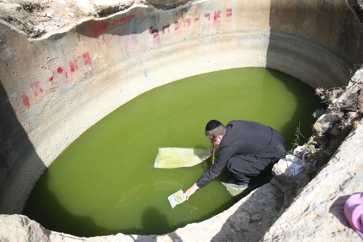 המקווה שהנערים ארגנו לעצמם ליד ה'רכס'