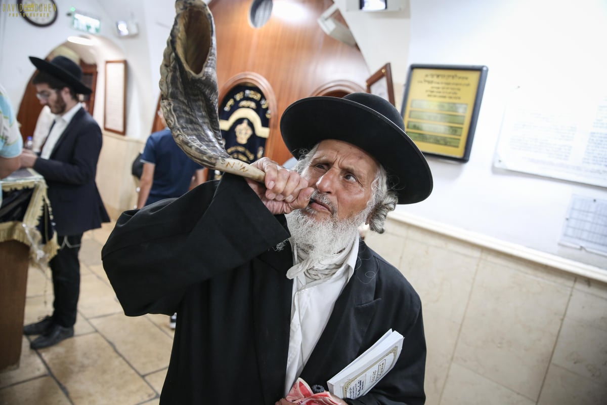 אמירת הסליחות בציון הרשב"י במירון • צפו