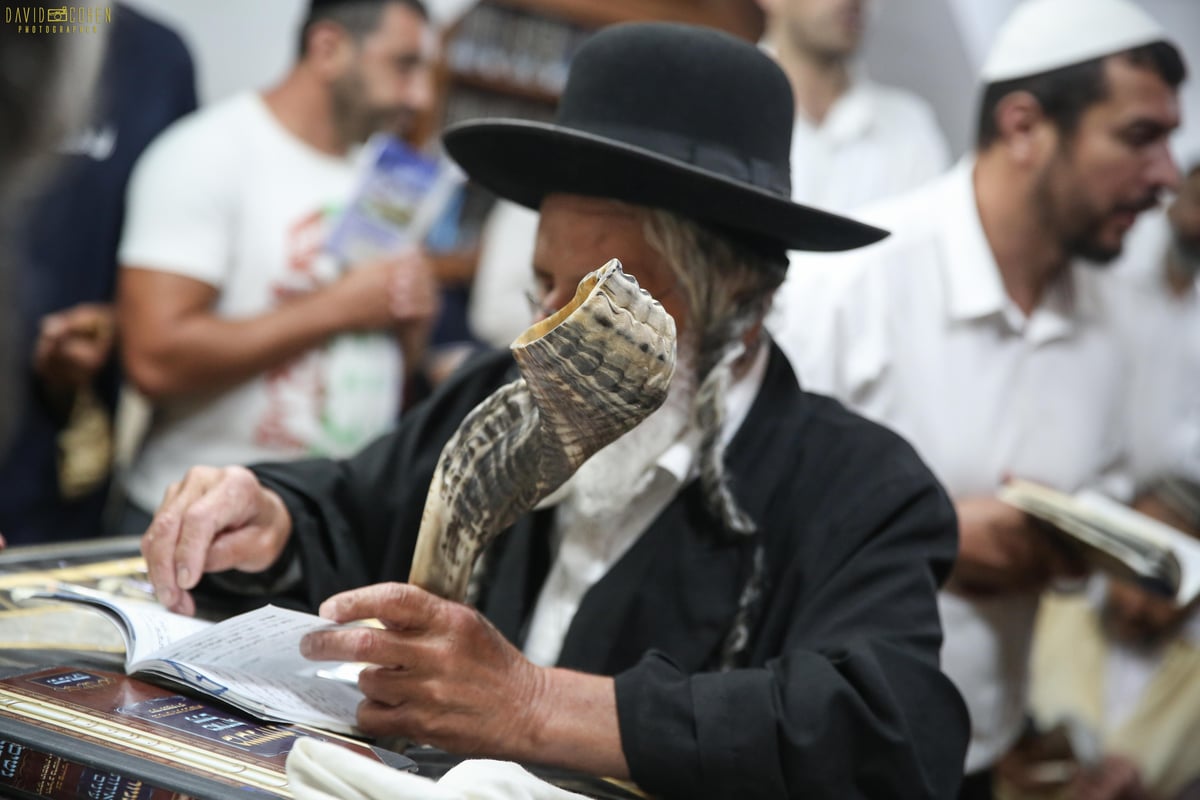 אמירת הסליחות בציון הרשב"י במירון • צפו