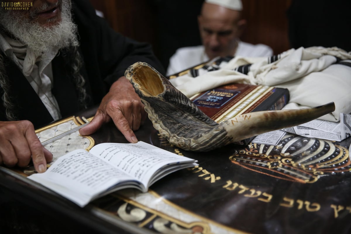 אמירת הסליחות בציון הרשב"י במירון • צפו