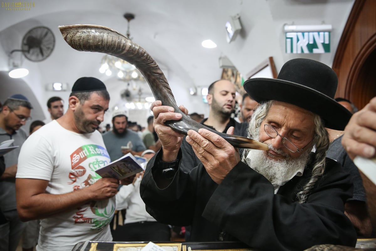 אמירת הסליחות בציון הרשב"י במירון • צפו