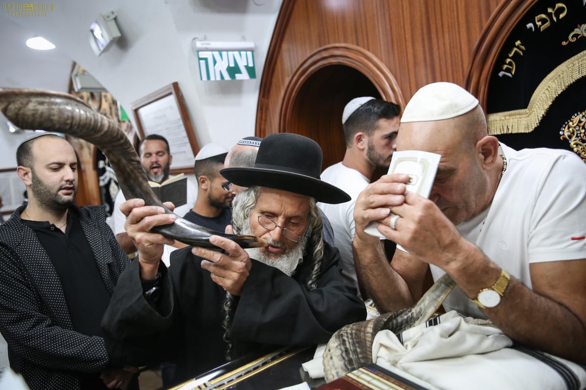 אמירת הסליחות בציון הרשב"י במירון • צפו