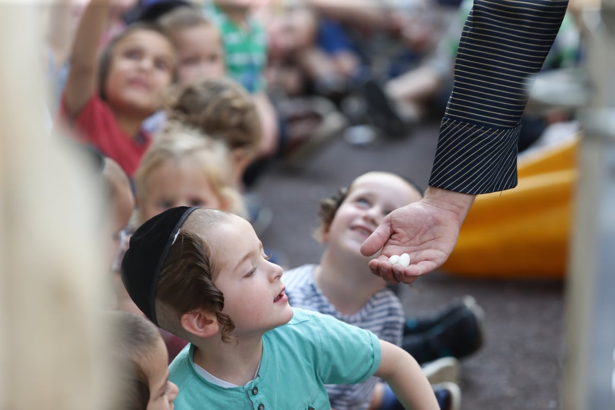 ילדי החמד נלקחו לקיים מצוות 'שילוח הקן' • תיעוד