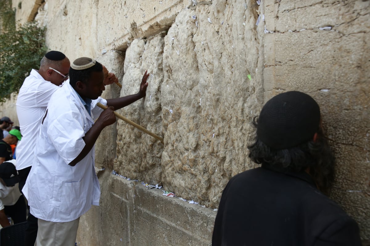 אבני הכותל נבדקו ב'אולטראסאונד'; הפתקים נשלפו במקל