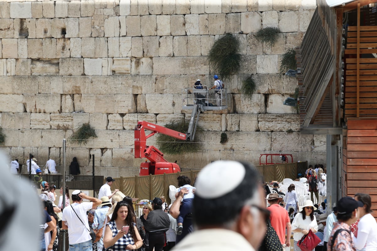 אבני הכותל נבדקו ב'אולטראסאונד'; הפתקים נשלפו במקל