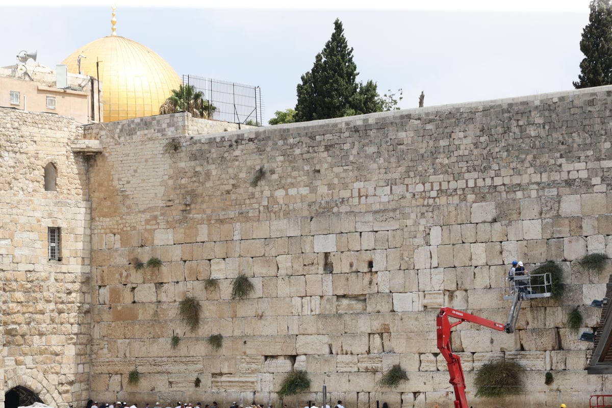 אבני הכותל נבדקו ב'אולטראסאונד'; הפתקים נשלפו במקל