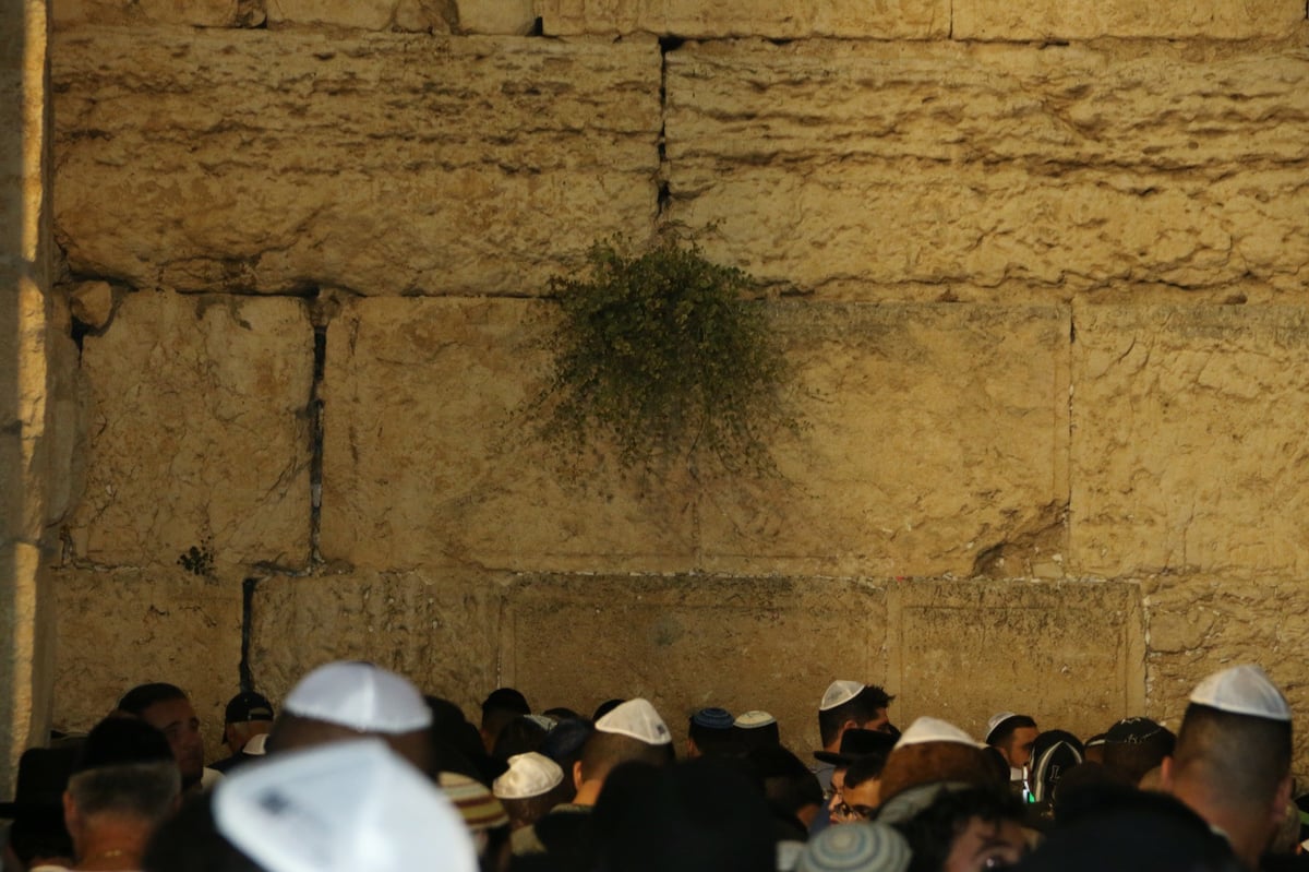 תיעוד מרגש: רבבות באמירת סליחות בכותל