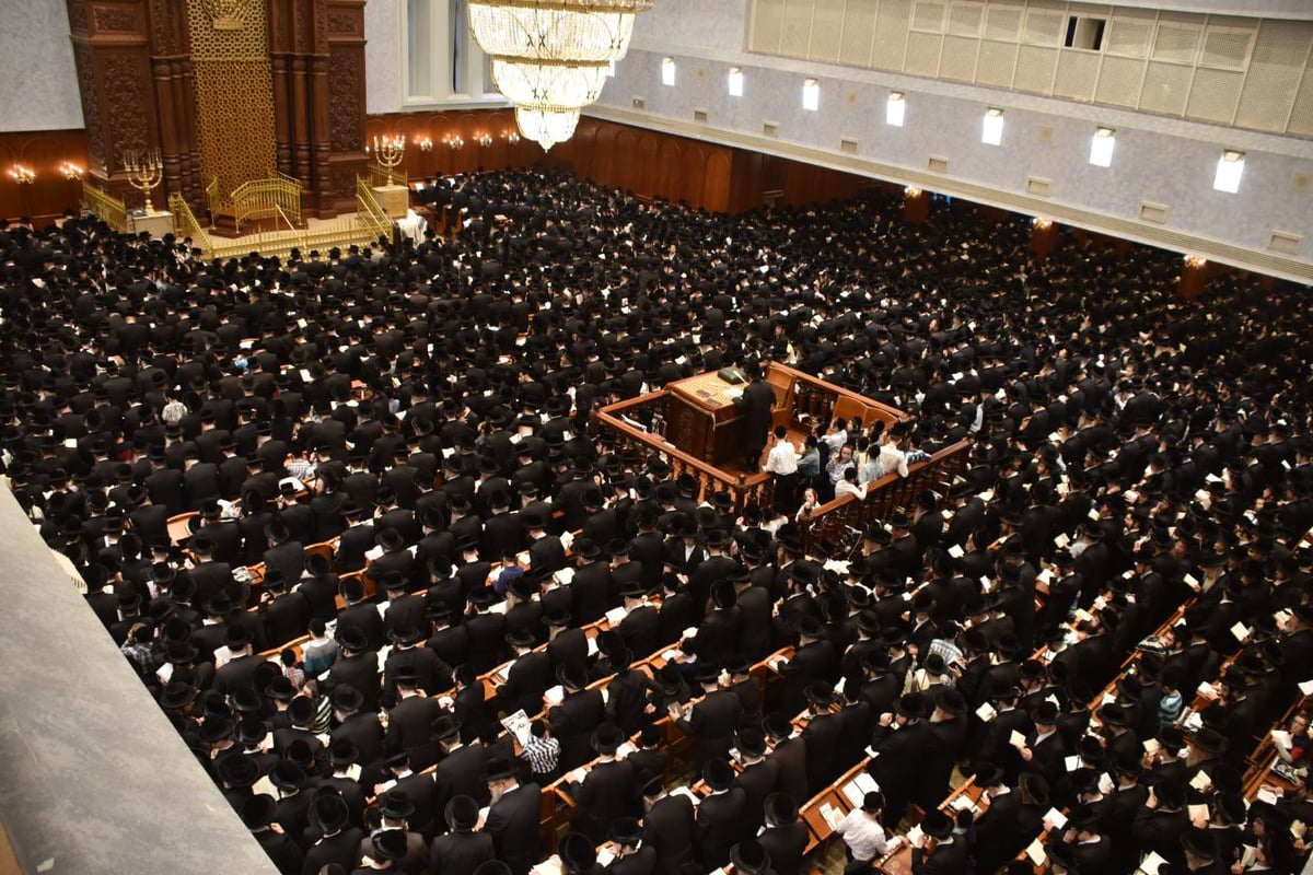 א' דסליחות בחצר הקודש בעלזא • תיעוד