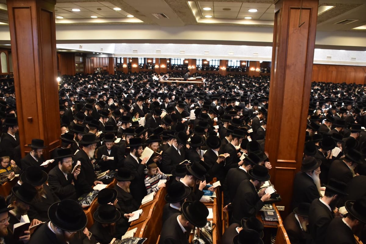 א' דסליחות בחצר הקודש בעלזא • תיעוד