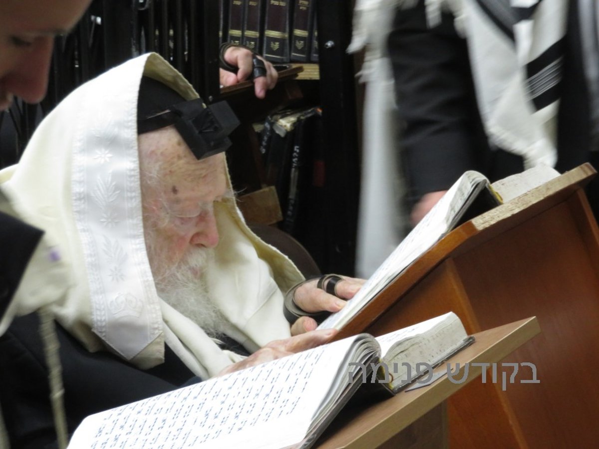 הסליחות הראשונות של מרן שר התורה. צפו