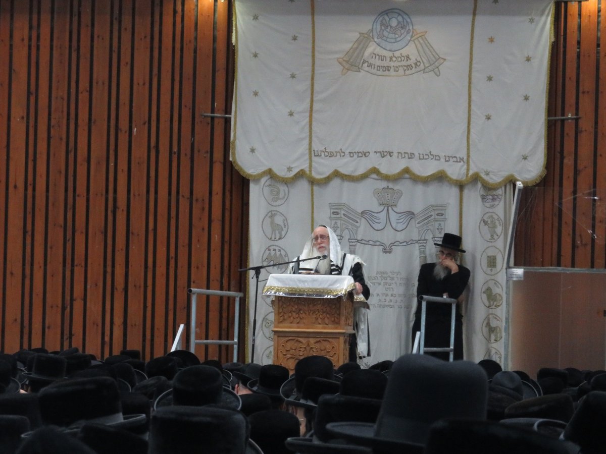 לפנות בוקר: הסליחות הראשונות בחסידות צאנז