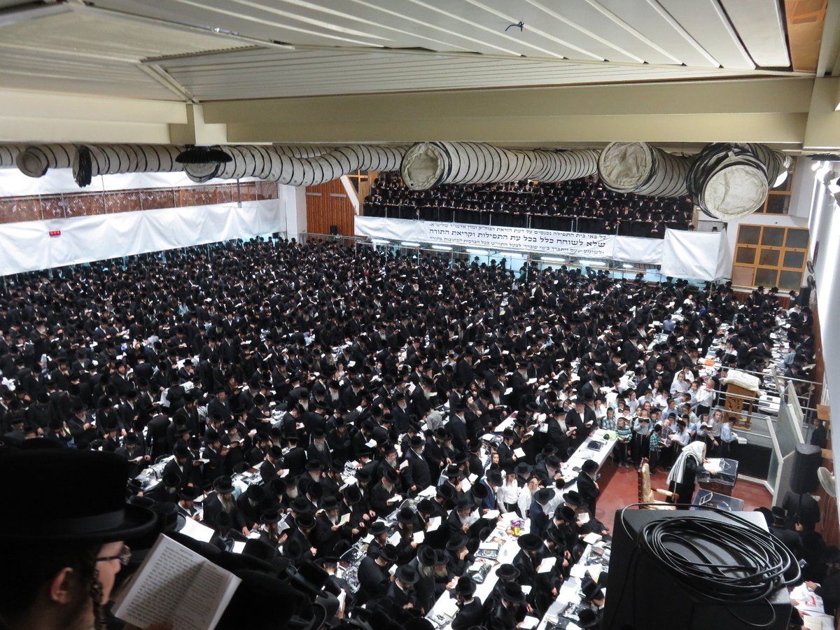 לפנות בוקר: הסליחות הראשונות בחסידות צאנז