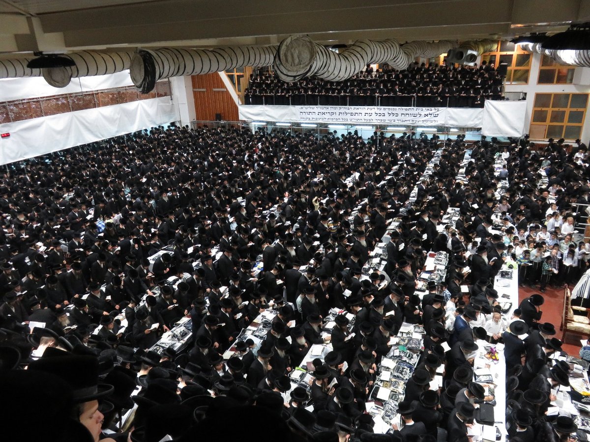 לפנות בוקר: הסליחות הראשונות בחסידות צאנז