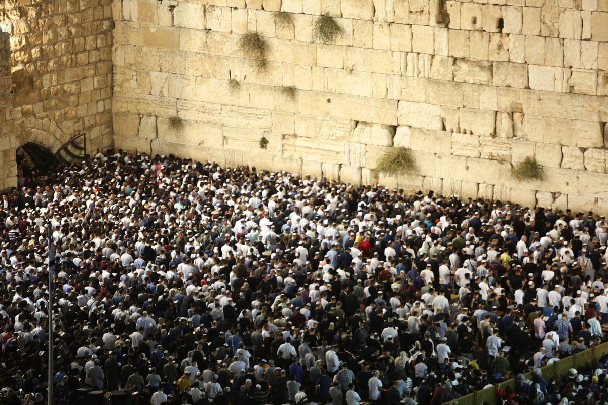 עשרות אלפים זעקו סליחות בכותל • תיעוד