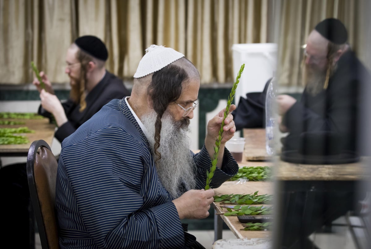 תיעוד: במאה שערים מתכוננים לחג הסוכות