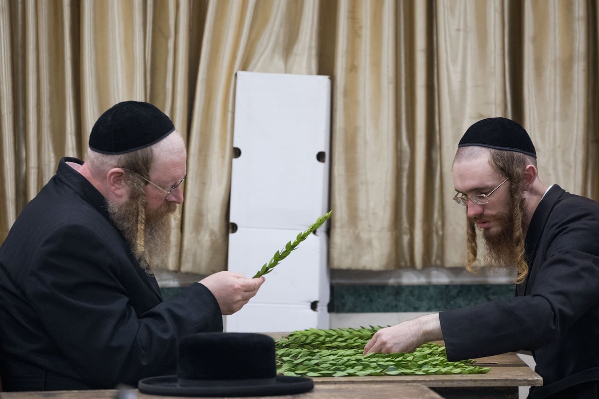 תיעוד: במאה שערים מתכוננים לחג הסוכות