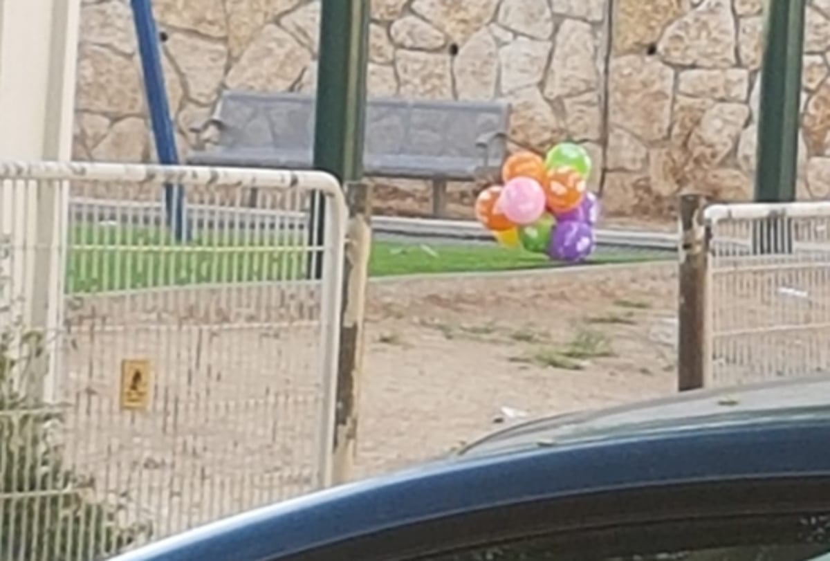 צרור הבלונים בגינה