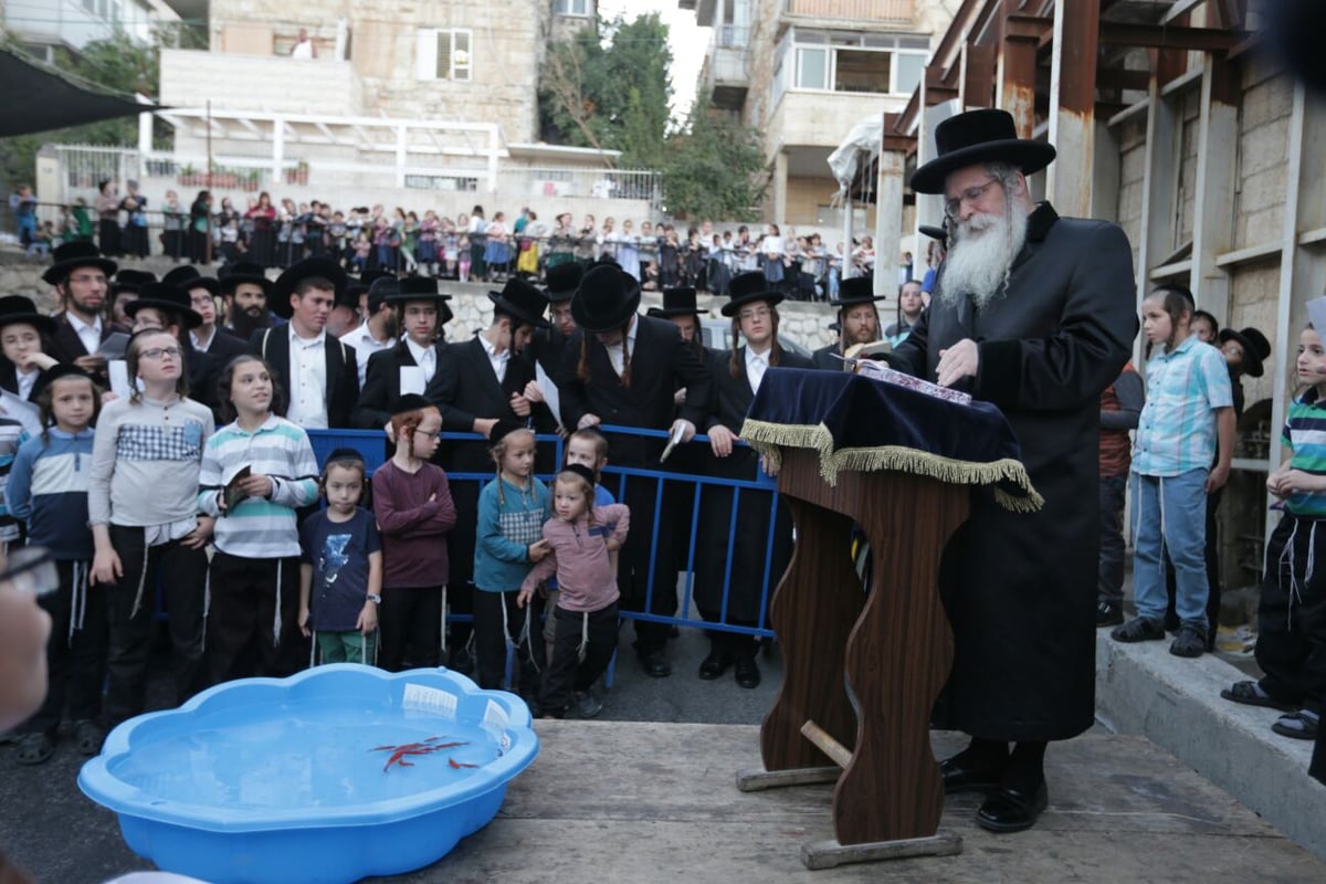 מעמד ה'תשליך' בנדבורנה ירושלים • תיעוד