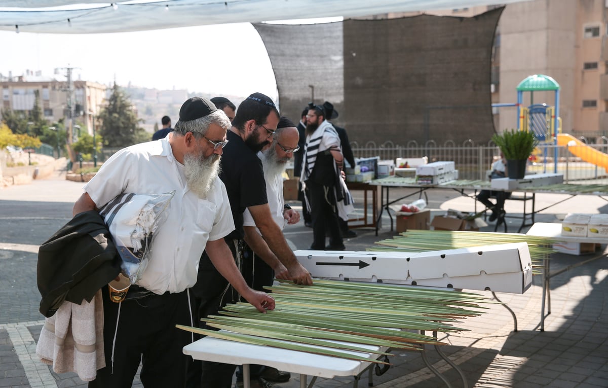 תיעוד מיוחד: שוק ארבעת המינים בצפת