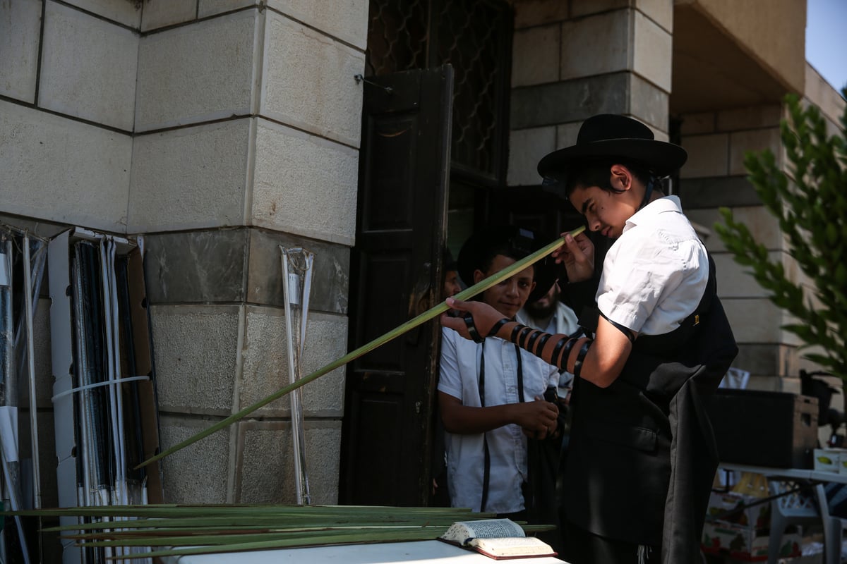 תיעוד מיוחד: שוק ארבעת המינים בצפת