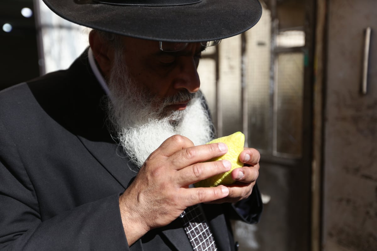 ד' מינים כבר יש לכם? גלריה מהשוק הסואן