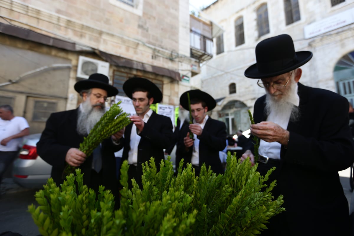 ד' מינים כבר יש לכם? גלריה מהשוק הסואן