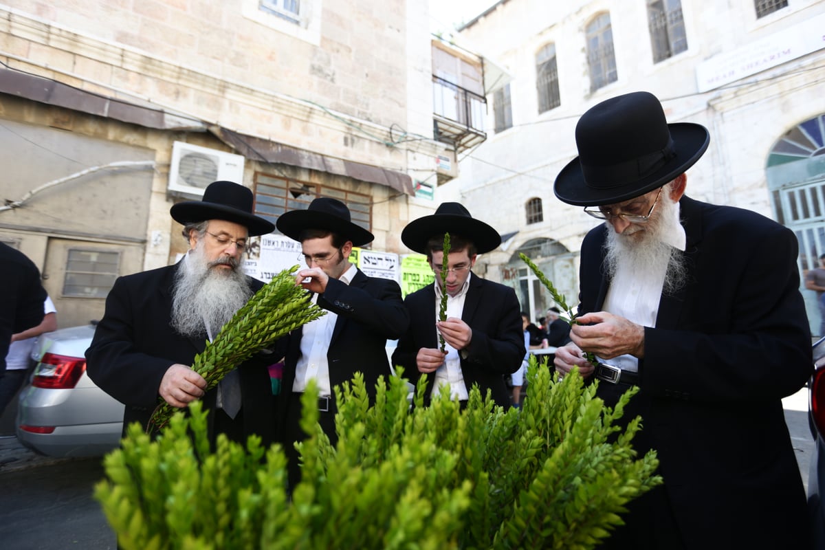 ד' מינים כבר יש לכם? גלריה מהשוק הסואן