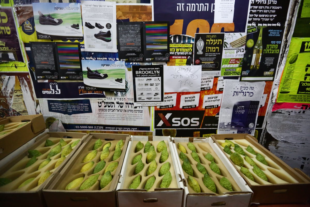 ד' מינים כבר יש לכם? גלריה מהשוק הסואן