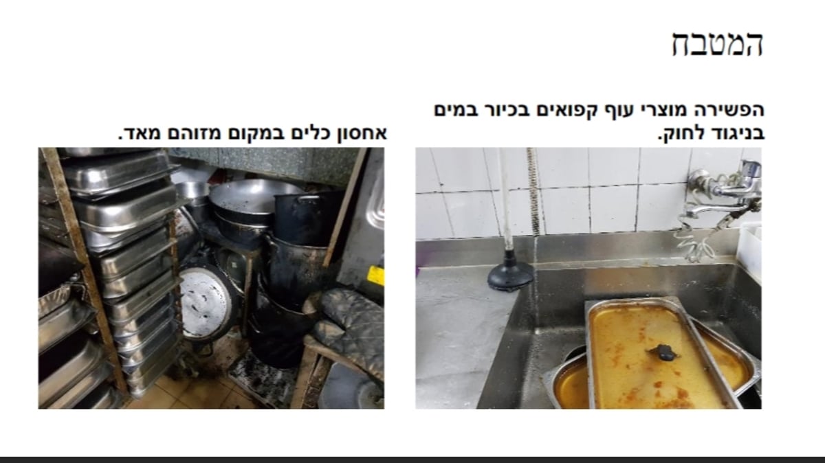 גללי חולדות במטבח של אולם אירועים בכפר סבא