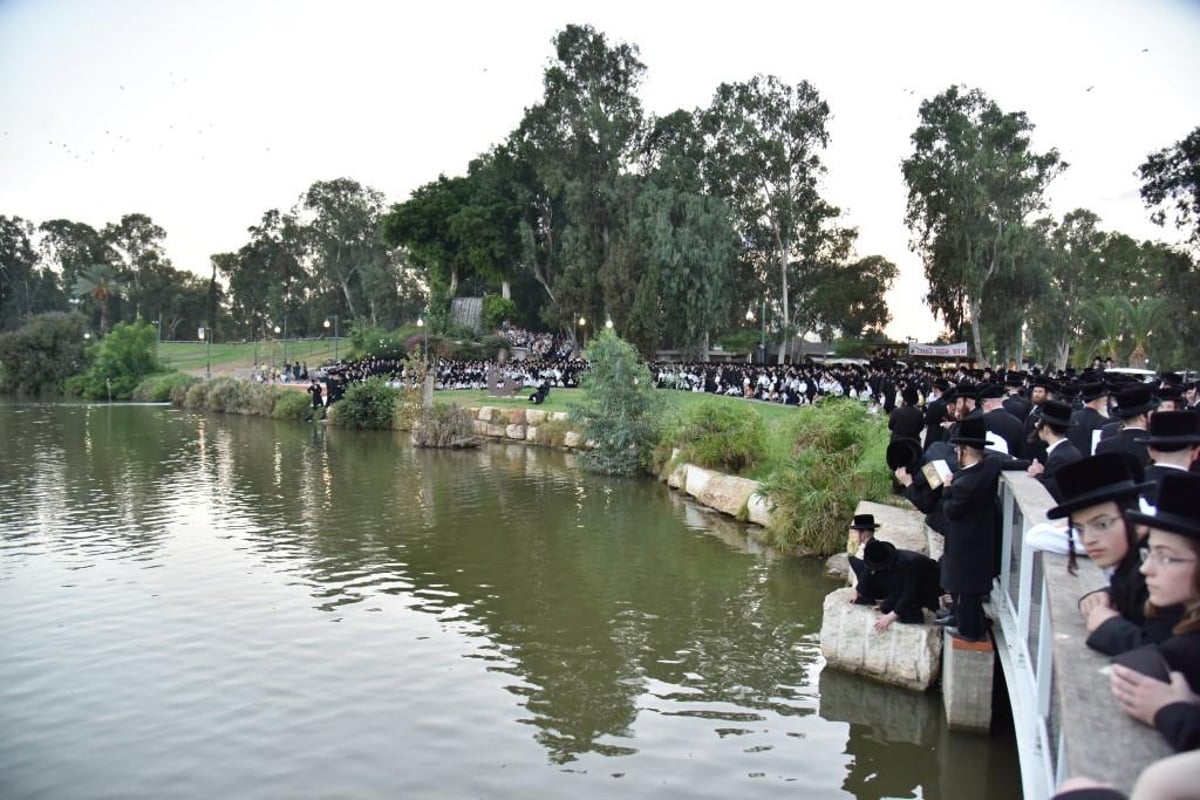 מ'התשליך' עד נעילת החג: יום כיפור ב'מרכז חסידי ויז'ניץ'