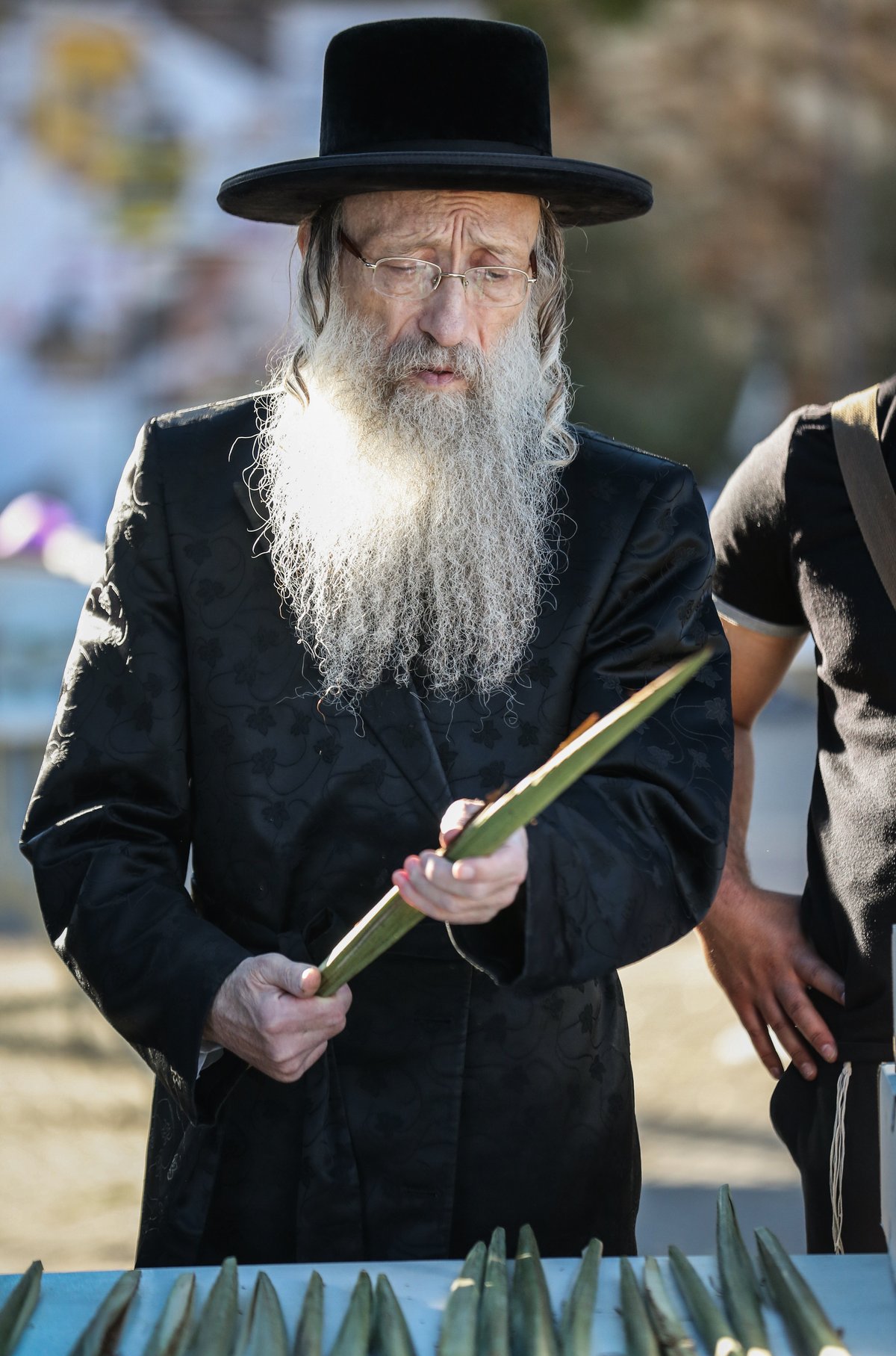 צפו: הרבי מנדבורנה צפת בבחירת ד' מינים