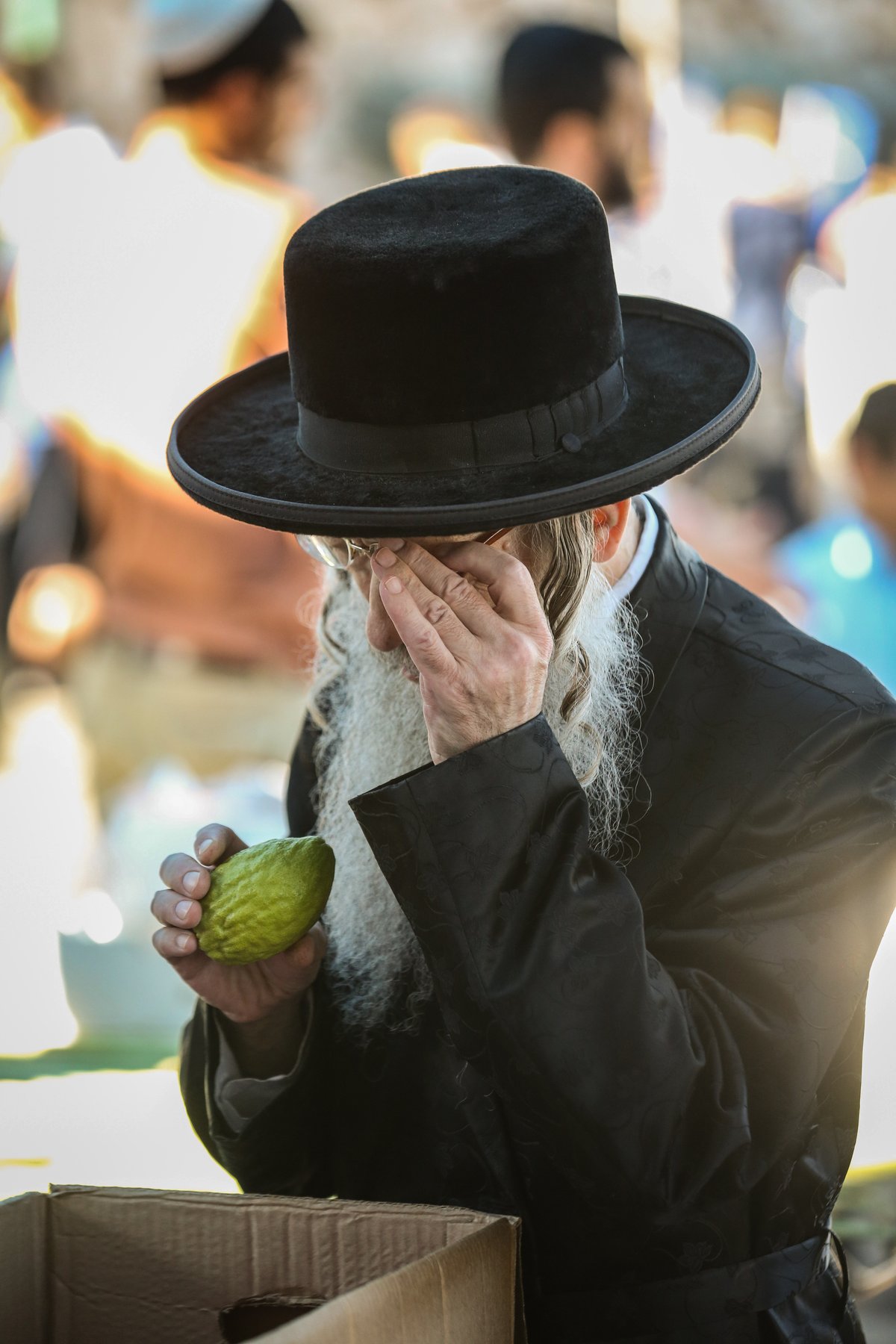 צפו: הרבי מנדבורנה צפת בבחירת ד' מינים