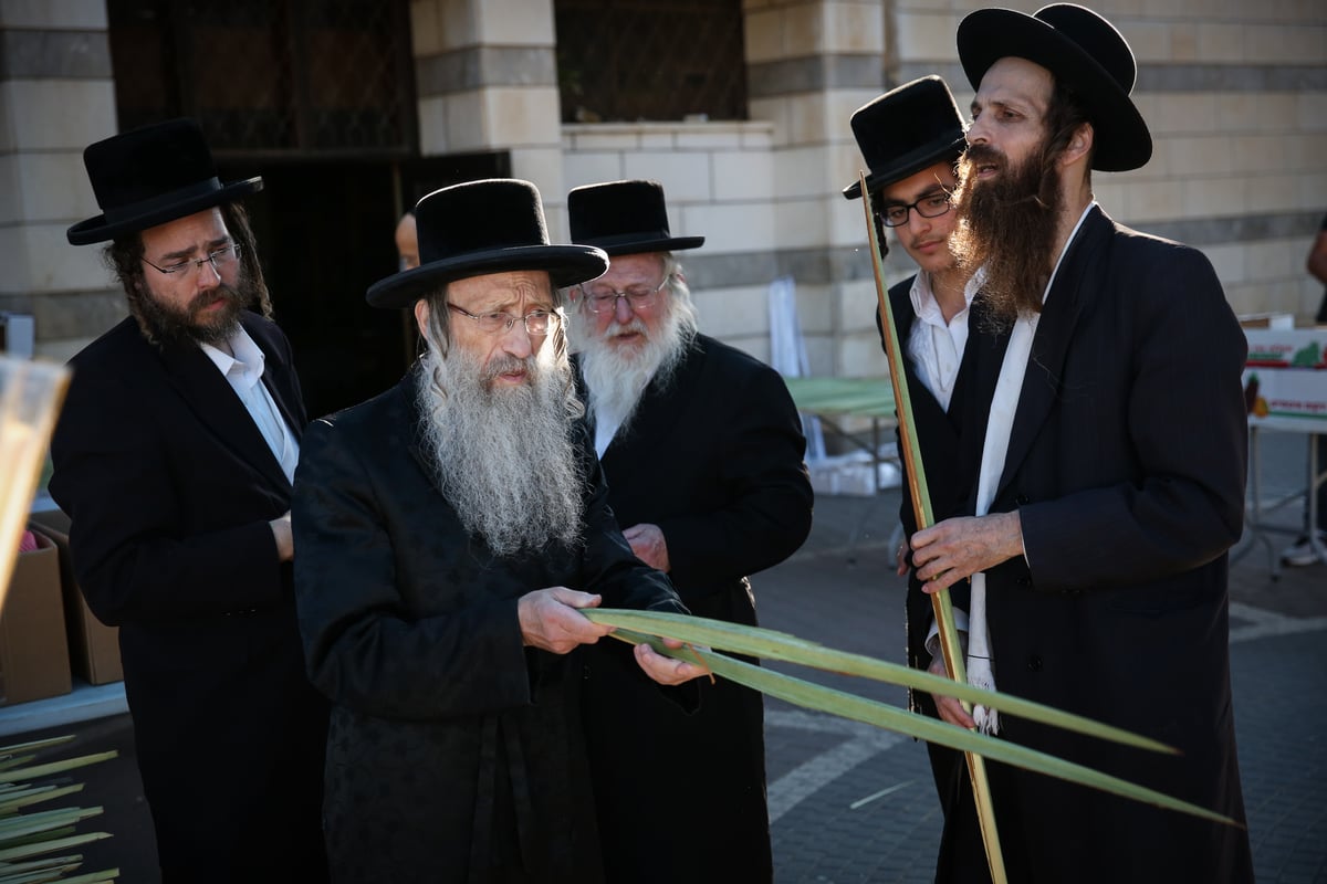 צפו: הרבי מנדבורנה צפת בבחירת ד' מינים