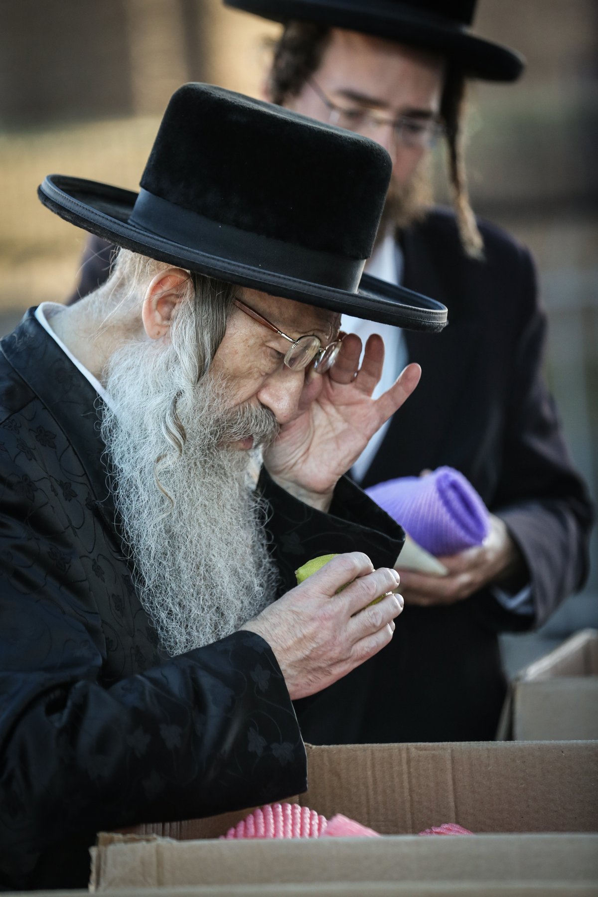 צפו: הרבי מנדבורנה צפת בבחירת ד' מינים