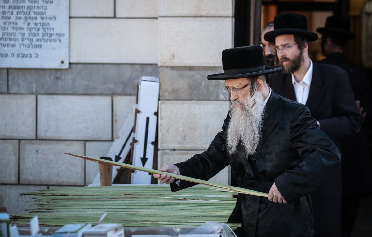 צפו: הרבי מנדבורנה צפת בבחירת ד' מינים