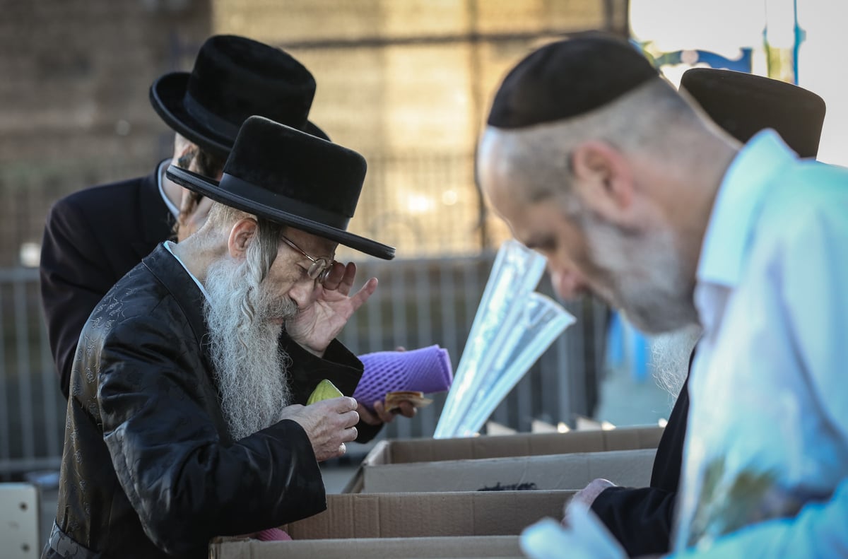 צפו: הרבי מנדבורנה צפת בבחירת ד' מינים