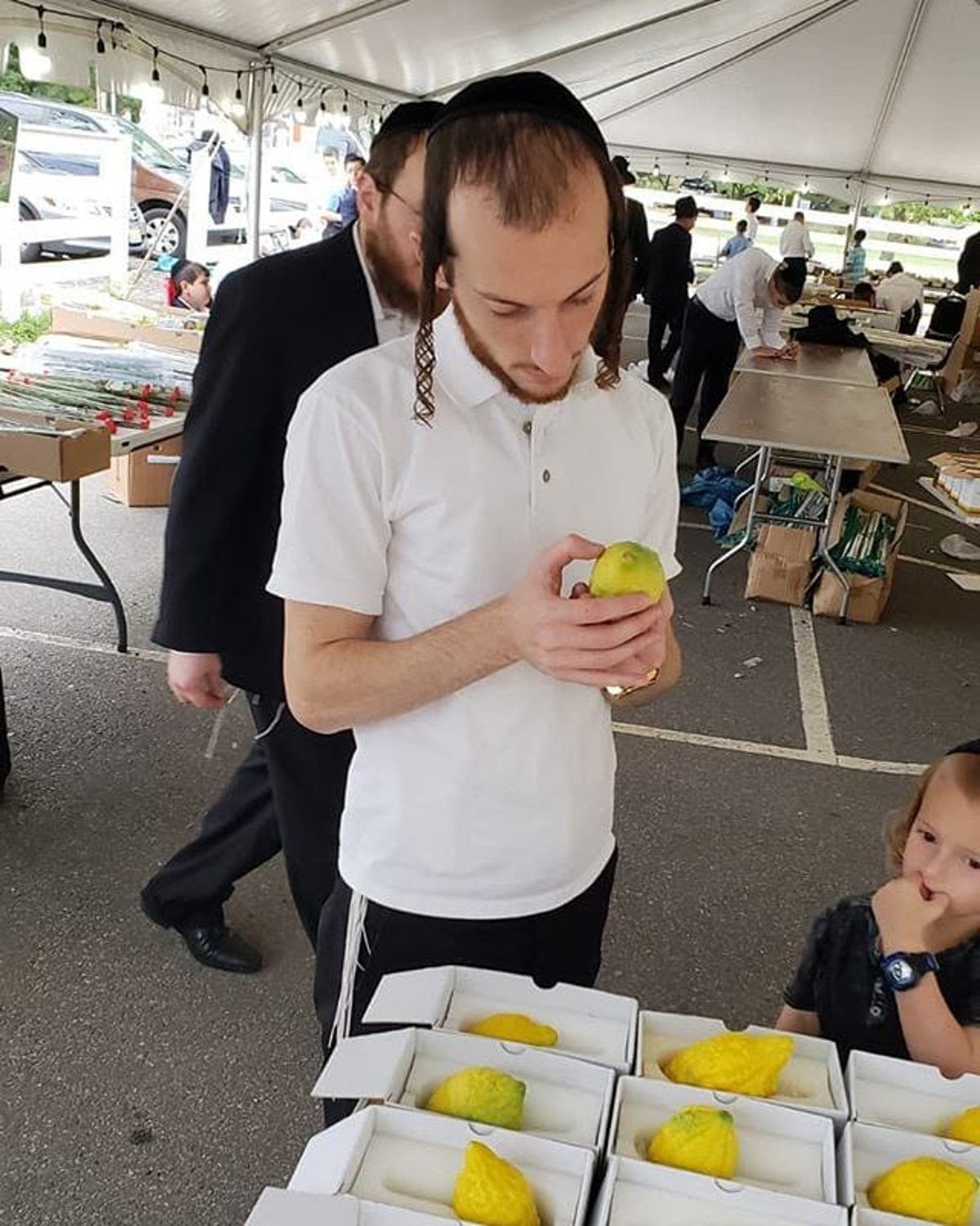 שוק ארבעת המינים - בארבע כנפות העולם • תיעוד מיוחד