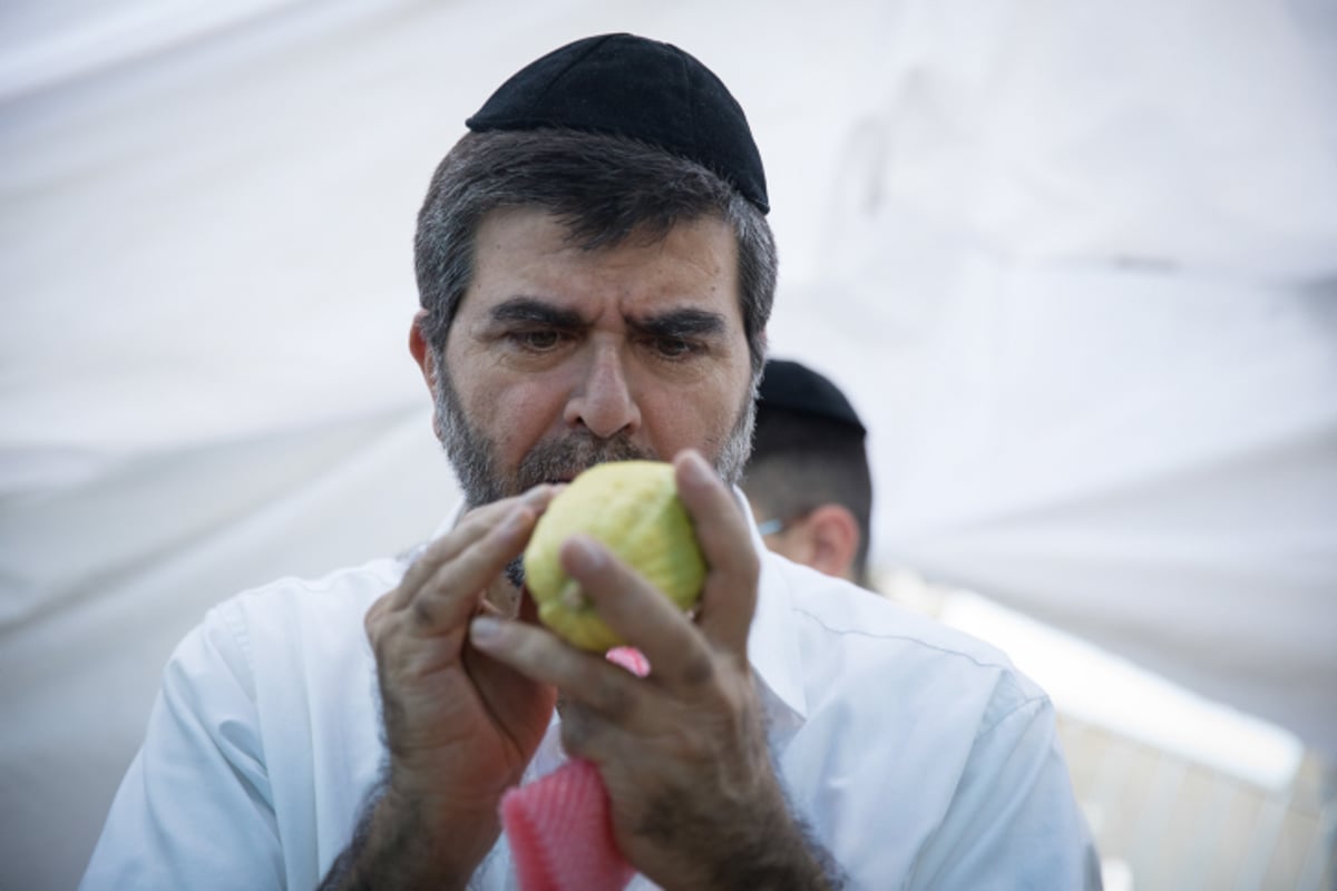 אילוסטרציה, למצולם אין קשר לכתבה