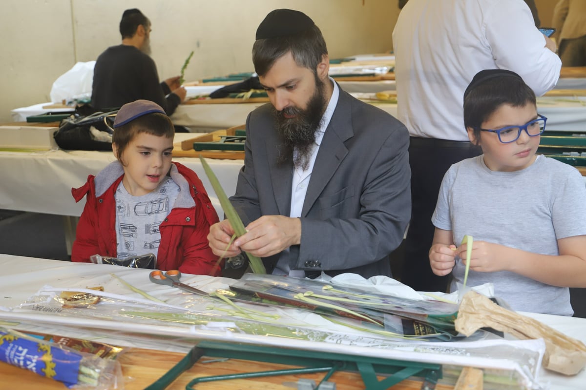 תיעוד מיוחד: ההיערכות לחג הסוכות בפריז • צפו