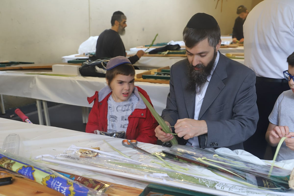 תיעוד מיוחד: ההיערכות לחג הסוכות בפריז • צפו